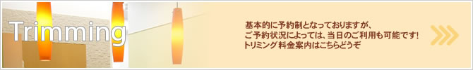 トリミング料金はこちら